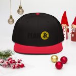 Plan B Snapback cap - Image 6